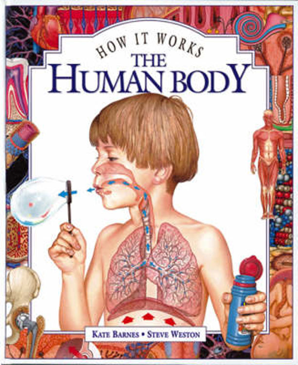 Picture of 2026 THE HUMAN BODY HOW IT WORKS